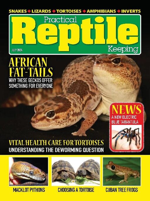 Title details for Practical Reptile Keeping by David Alderton - Available